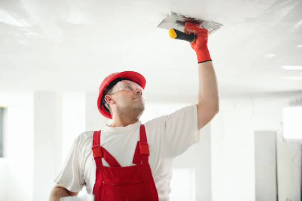 Mold Removal for HVAC Installations in Villa Grove, IL